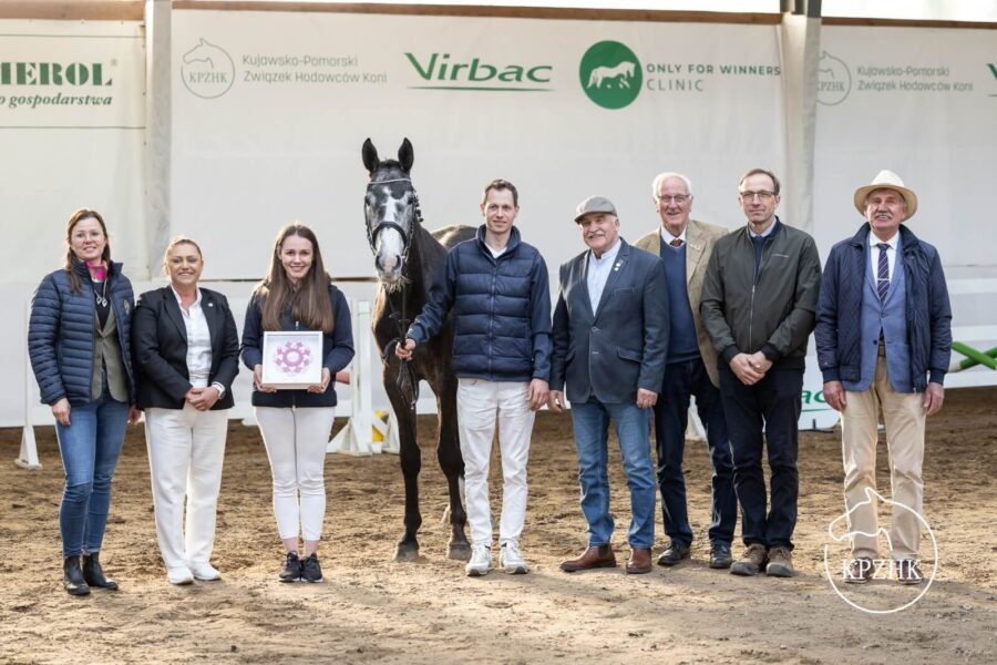 Brawurka sp (Comme le Pere x Cachas) 2022