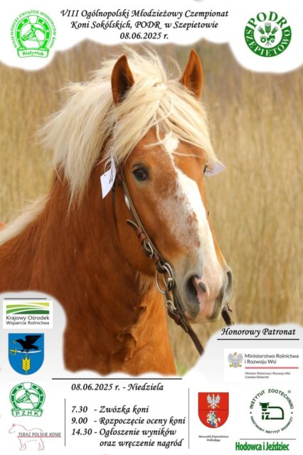 Plakat - VIII Ogólnopolski Młodzieżowy Czempionat Koni Sokólskich