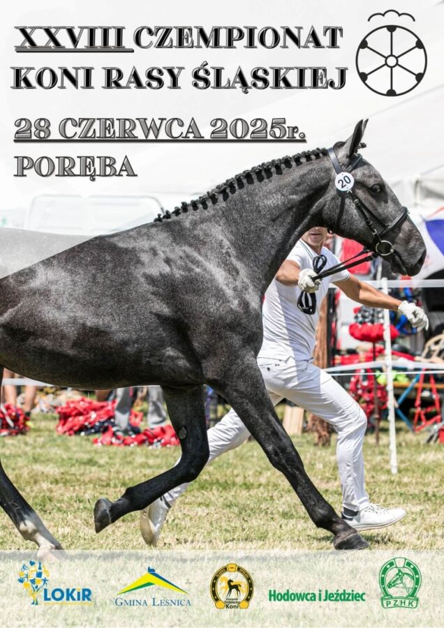 XXVIII Czempionat Koni Rasy Śląskiej, Poręba 2025