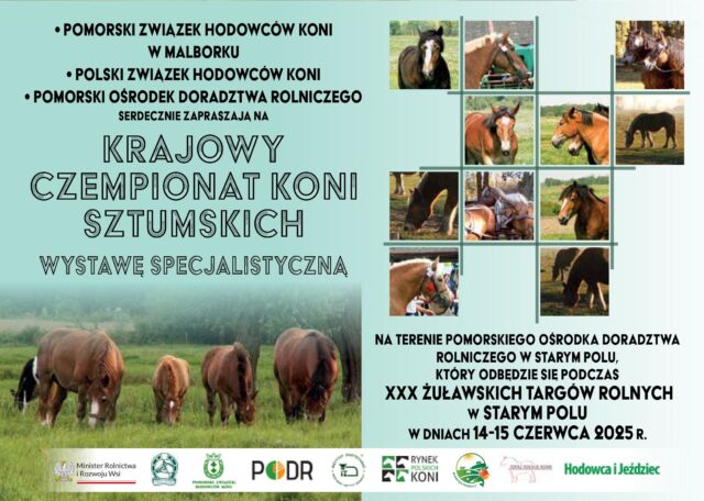 Plakat Ogólnopolski Młodzieżowy Czempionat Koni Sztumskich