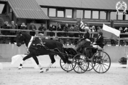 ELEKTRODA i Weronika Kwiatek