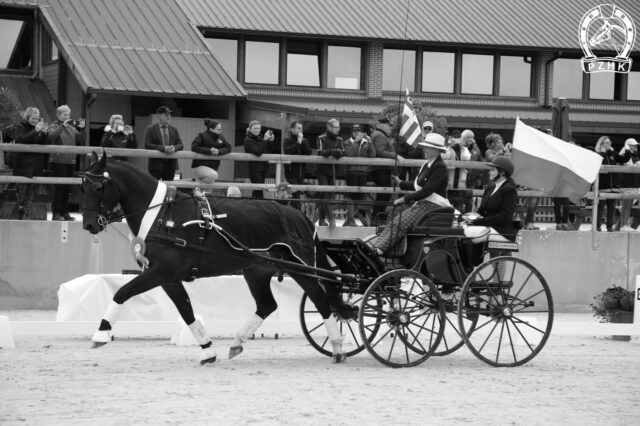 ELEKTRODA i Weronika Kwiatek