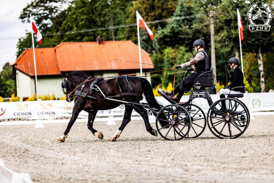 Ogier NUGAT-AR (CO) śl.
