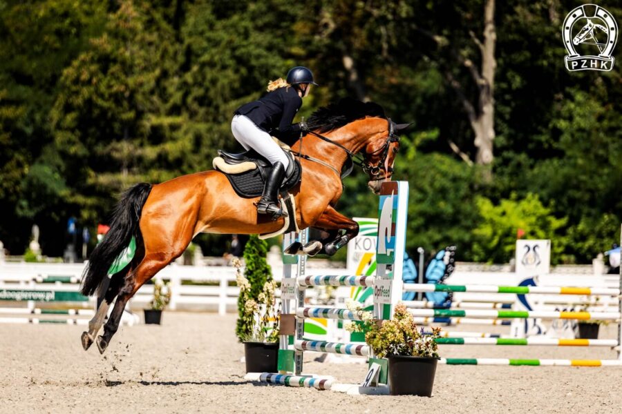 Klacz OLIVIA NW sp