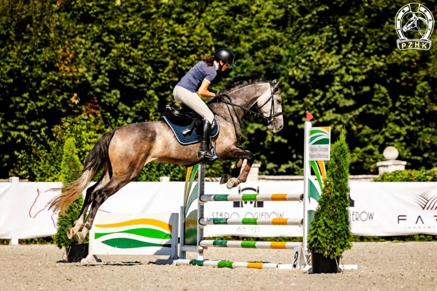 Klacz DRUZILLA sp