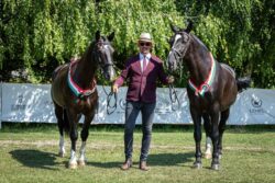 Bartłomiej Kwiatek i śląski Hunter z brązowym medalem MŚMK w powożeniu