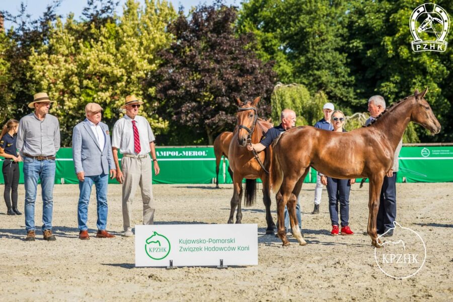 LA BONDOLA sp (Bondolo - Loretta / Landor)