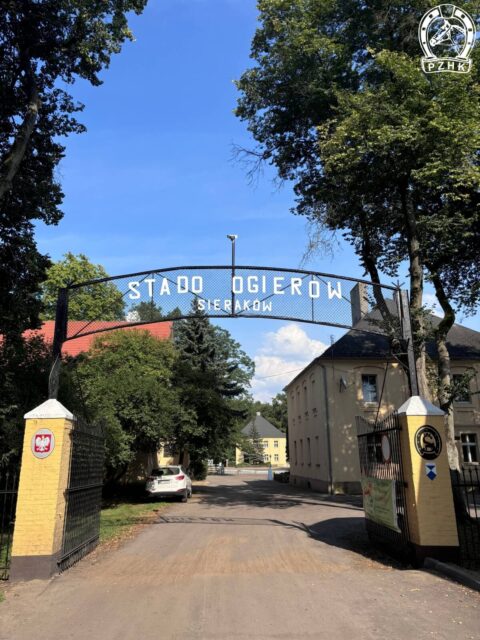 Stado Ogierów Sieraków