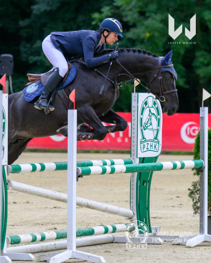 Ogier BASZMIR AA m