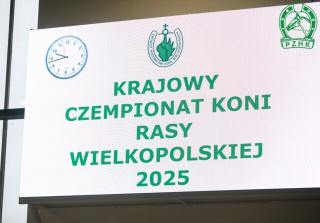 Krajowy Czempionat koni rasy wielkopolskiej – wyniki