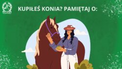 Kupiłeś konia? Pamiętaj o…