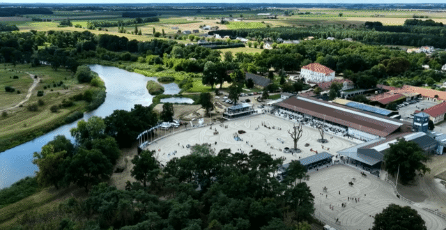 Kwalifikacja ogierów ras szlachetnych do hodowli