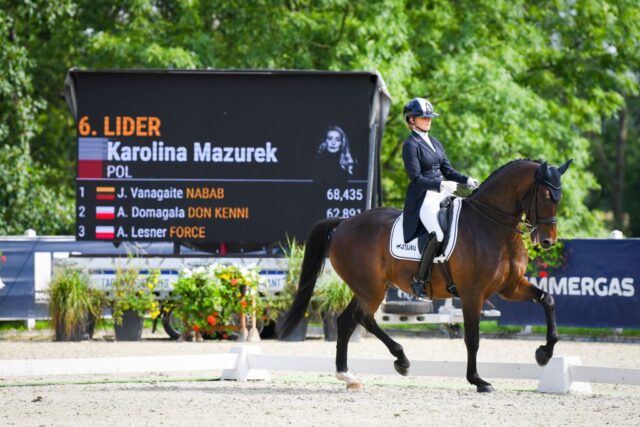 Najlepszym polskim koniem ujeżdżeniowym PZHK według rankingu WBFSH jest Lider