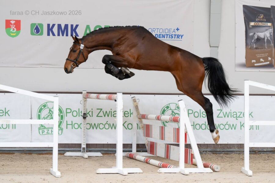 RUYTERSHOF R - drugie msc. grupa B