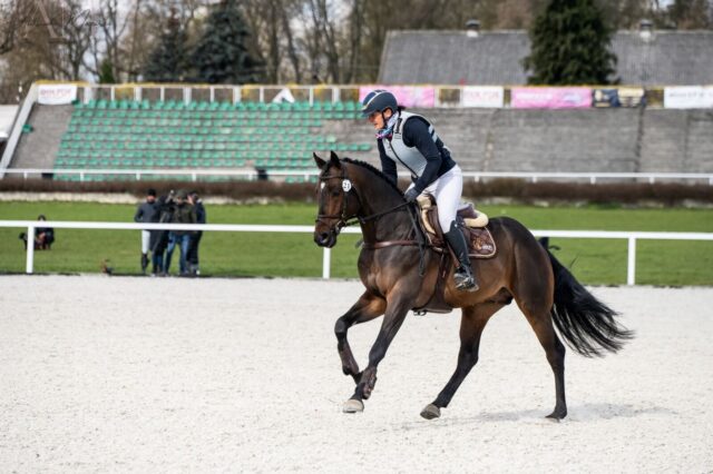 Regulamin PPO wierzchowej + ocena og. alternatywnych