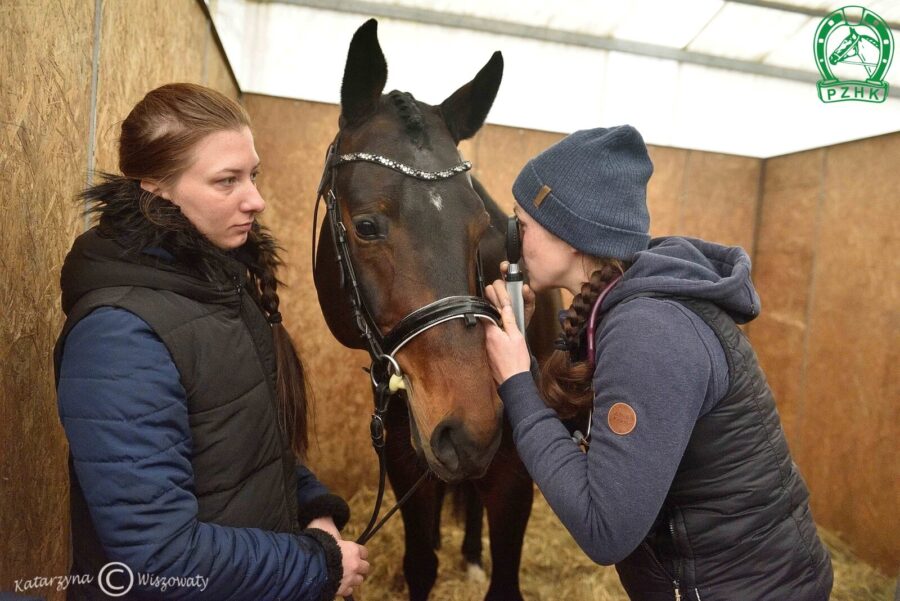 Check Blue ZR sp, 2022 (Herald hol. – Catina Blue FG wurt. / Chacco-Blue mekl.)