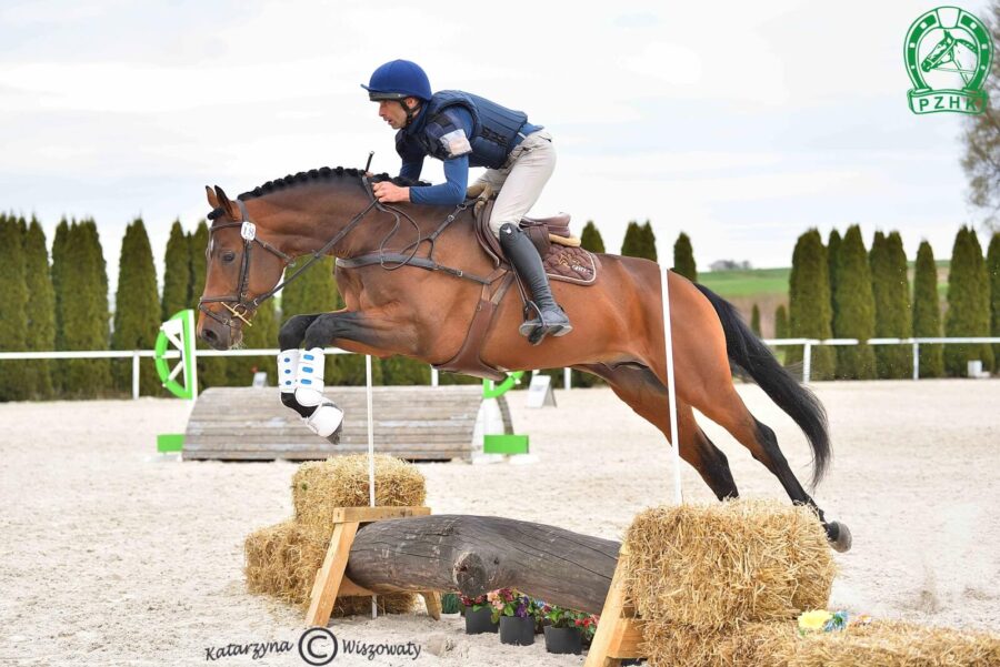 Akani AA m(AA), 2022 (Cestuy la de l'Esques xo – Argolida m(AA) / Huzar m(AA))