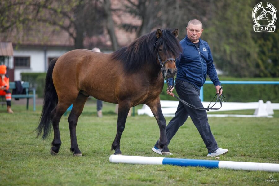 Og. NOSIER (HROBY) (Finał – Nosmina / Orman)