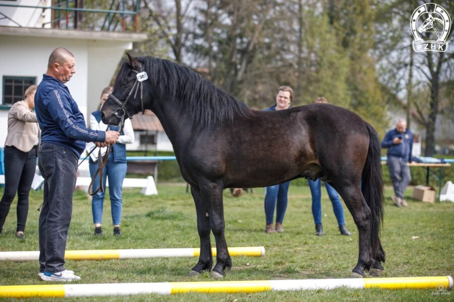 Og. CYPL (HROBY) (Finał – Cyriana / Nurt)