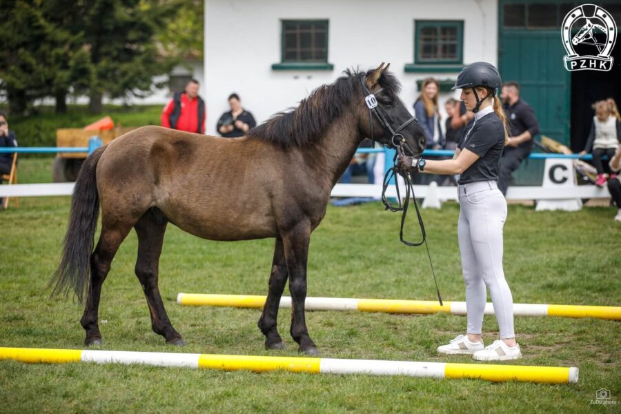 Og. GIFT (HROBY) (Pieszczoch – Gretka / Fryderyko)