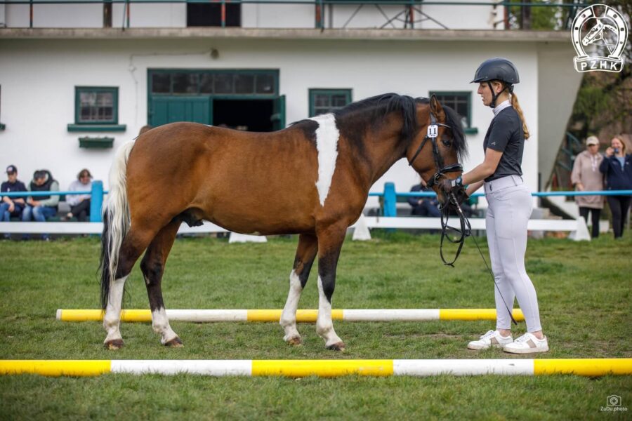 Og. ORREO (HROBY) (Szaman – Orawka / Nicpoń)