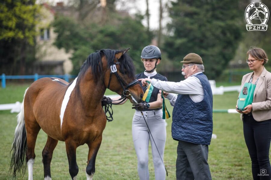 Og. ORREO (HROBY) (Szaman – Orawka / Nicpoń)