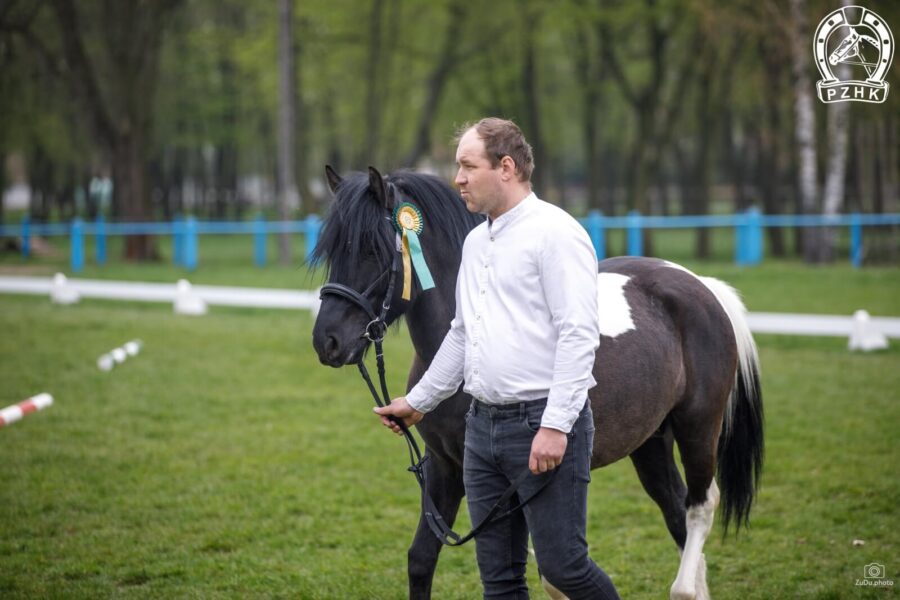 Og. NASIR-MAL (HROBY) (Oscypek-O – Nana-Solo / Waluch)