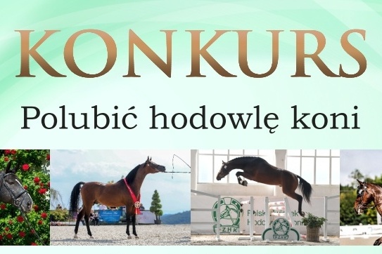 KONKURS Polubić hodowlę koni