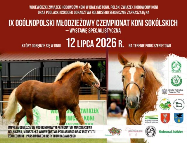 Plakat Ogólnopolskiego Młodzieżowego Czempionatu Koni Sokólskich - Wystawy Specjalistycznej 2026