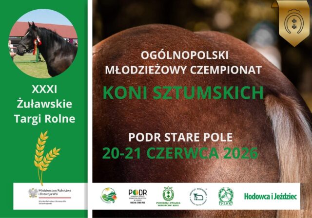 Plakat Ogólnopolskiego Młodzieżowego Czempionatu Koni Sztumskich - Wystawy Specjalistycznej 2026