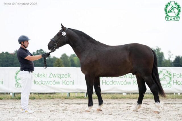 TERCET-Ś (ED/EV) śl., 2024 (Tycjan - Dina / Hondaker)