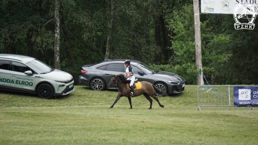 Klacz BŁYSKAWICA P