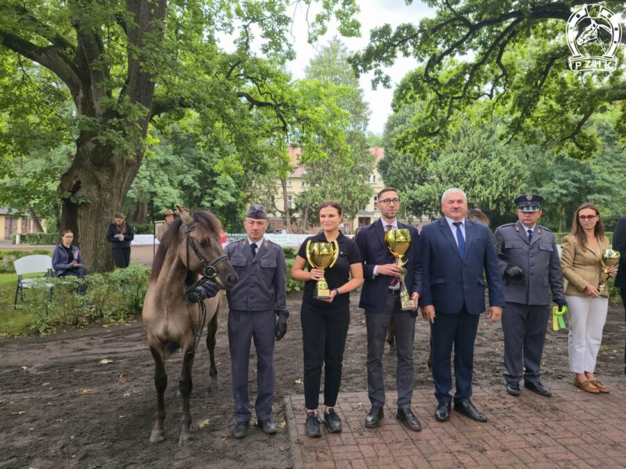 Czempion ogierków rocznych WARMIN SO