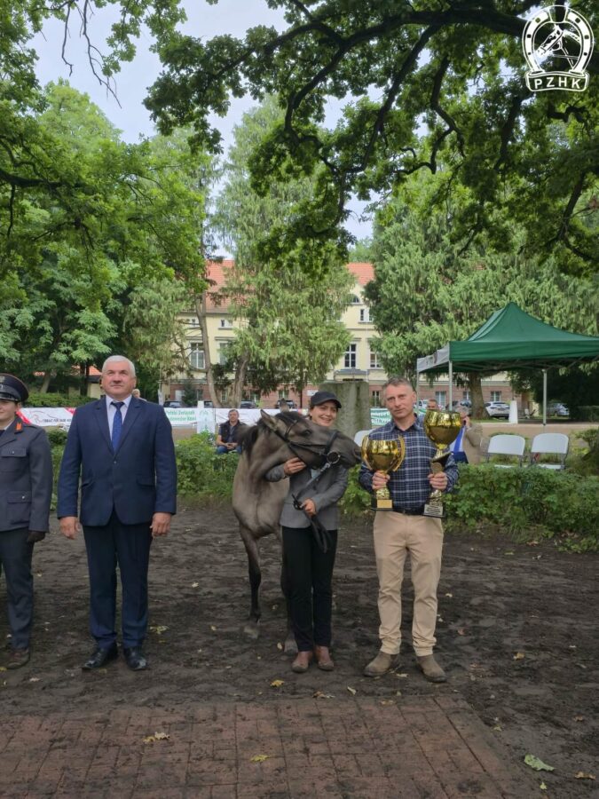 Czempionka klaczy rocznych LESZCZYNA IZERY
