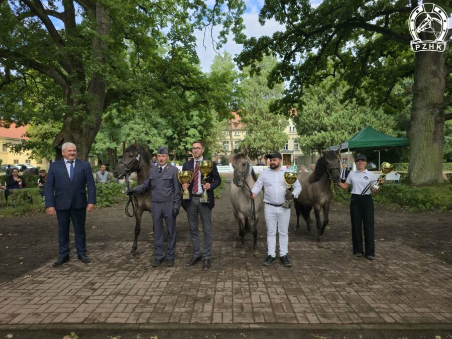 Dekoracja klaczek dwuletnich: od lewej WALKIRIA SO, KALINA MD i BURZA