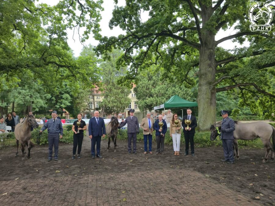 Dekoracja ogierków dwuletnich: od prawej 1m NIECIERPEK D, 2m GRAB D, 3m POWIEW SO