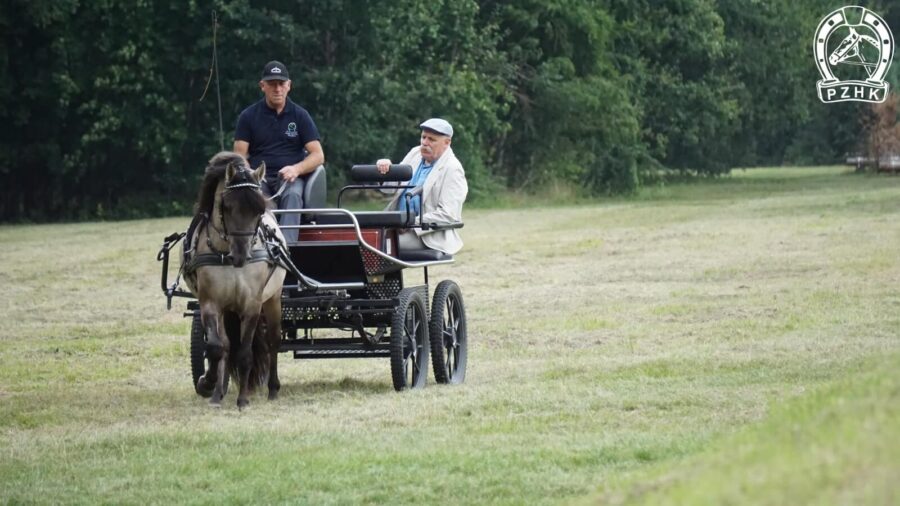 Ogier WEKTOR SO podczas polowej próby zaprzęgowej