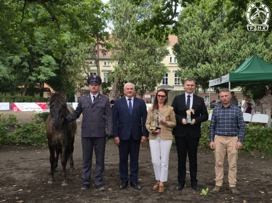 Prestiżowy tytuł THE BEST IN SHOW otrzymał og. NIRO D