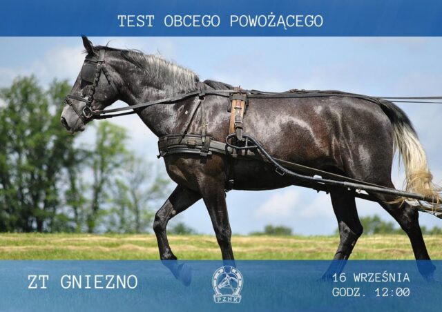 Test obcego powożącego – ZT Gniezno