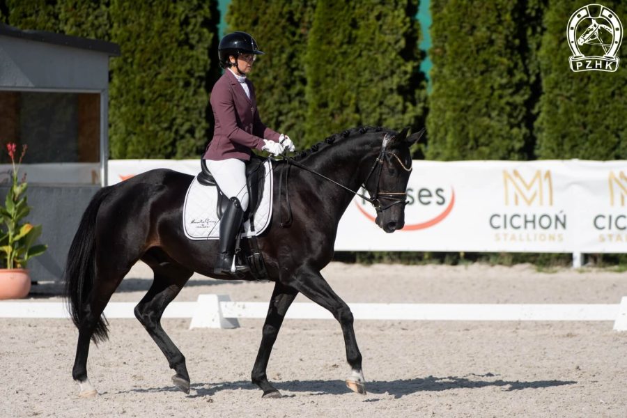 KAEL LUMIERE (EX KARINO-S) wlkp