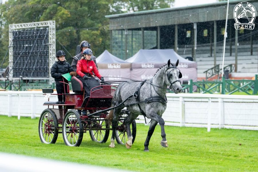 POLO (RU) śl.