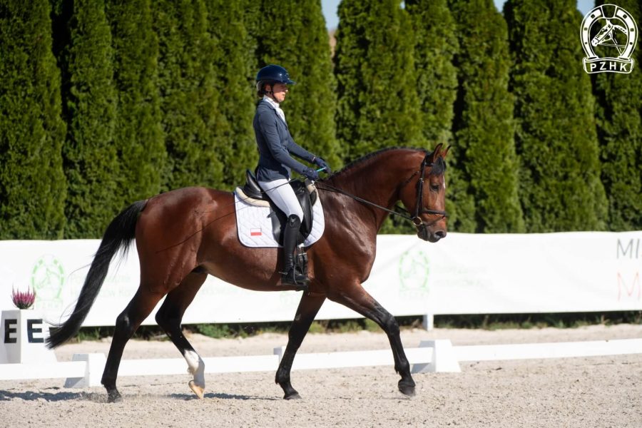 DAMARIO GOLD sp