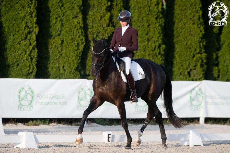 MIRABELL niem.sport. (DSP)