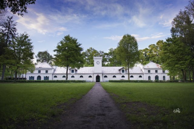 Stadnina w Janowie Podlaskim fot. Ewa Imielska-Hebda