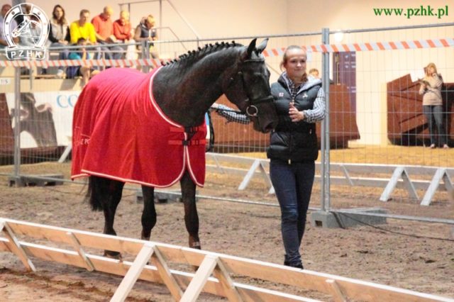 FERRERO, fot. Małgorzata Sieradzan