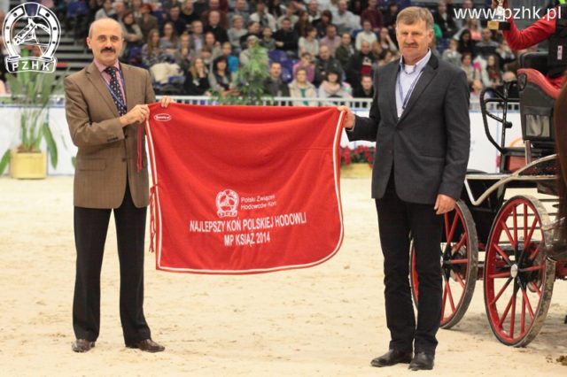 Nagroda PZHK - Najlepszy koń polskiej hodowli