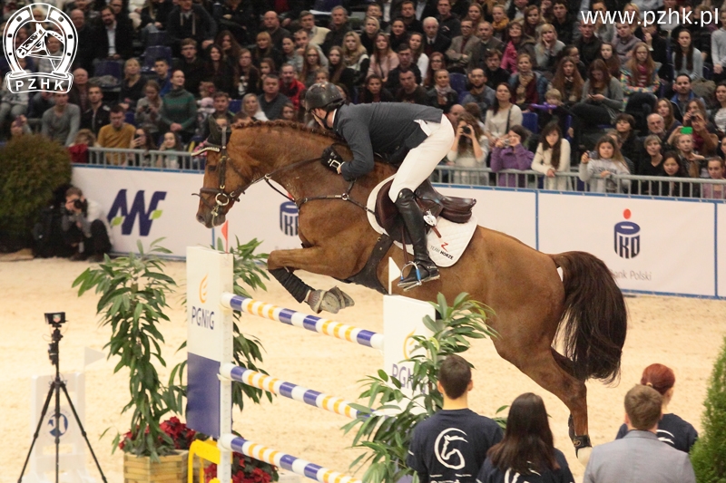 HORSE GYM'S BALZACI