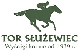 Sluzewiec