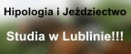 UP w Lublinie