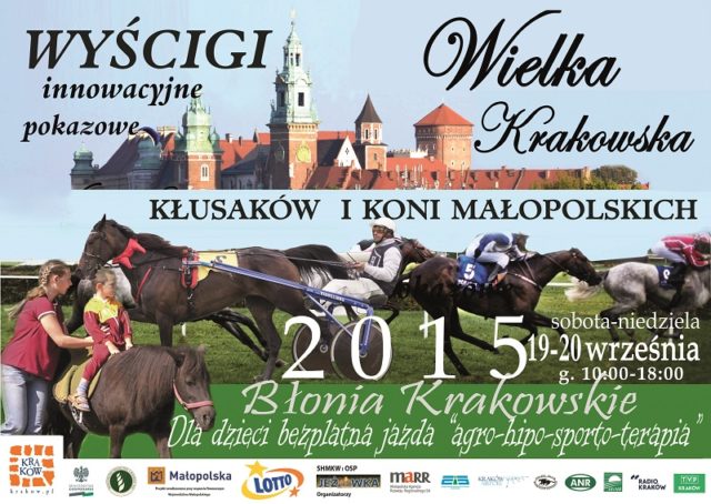Wielka_Krakowska_2015